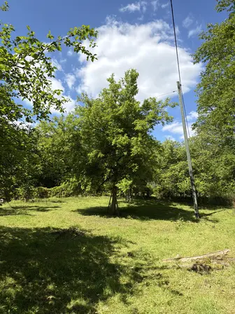 Foto treephoto-ww3slsvapif5xmyh14586bb3.jpeg