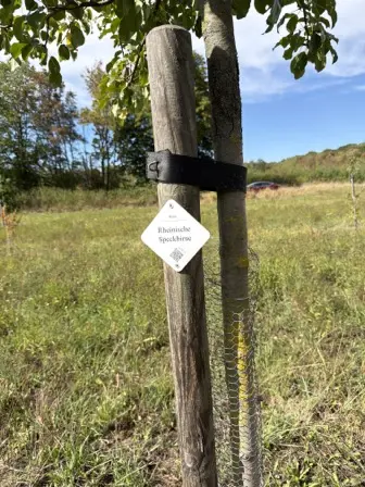 Foto treephoto-wgjrimy2qsexx9ul0rzm8606.jpeg