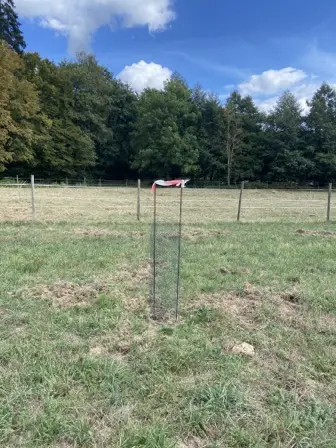 Foto treephoto-ibjpto0e4wfqhzdajtut25dg.jpeg