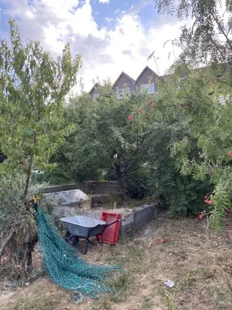 Foto treephoto-eqh2tchhjpv3fai4lem8yirb.jpeg
