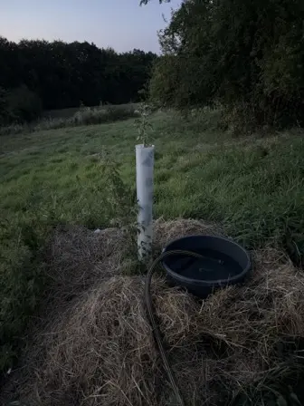 Foto treephoto-e10vngcow8rfgota3ncr25f6.jpeg