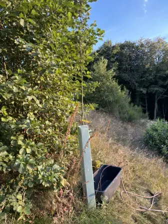 Foto treephoto-zcamm89tdekpbvezkjz268af.jpeg