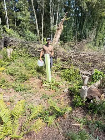 Foto treephoto-b4cgg9vn8mva39cu8e54wevs.jpeg