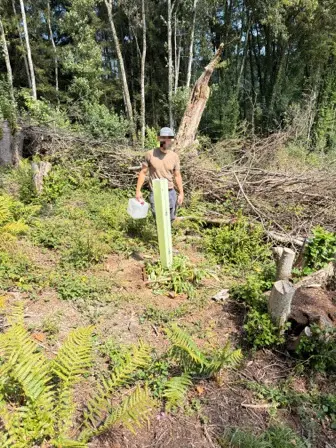 Foto treephoto-eqxwy4qgejzj0omverhd7diy.jpeg