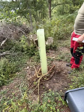 Foto treephoto-h42gdtqnoek584gpg1bo9z6y.jpeg