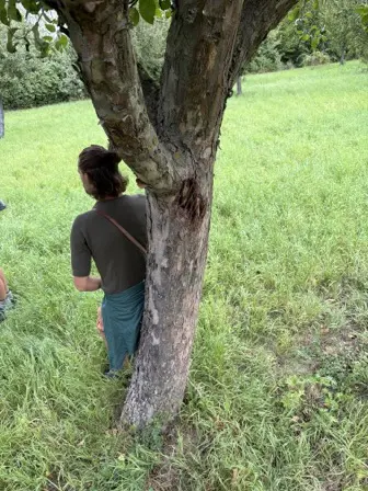 Foto treephoto-c2te6n9yvfank8i28h3md12w.jpeg
