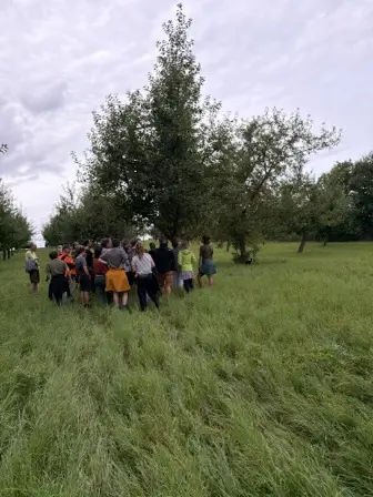 Foto treephoto-undqd91gosws0ictarwi077z.jpeg