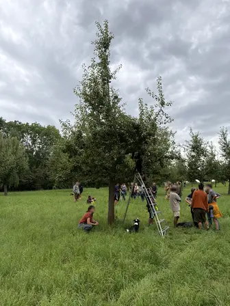 Foto treephoto-agkv79pa4h3ptbgrq5exryfs.jpeg