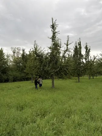 Foto treephoto-eq67eib4biommiy5idpwpzfr.jpeg
