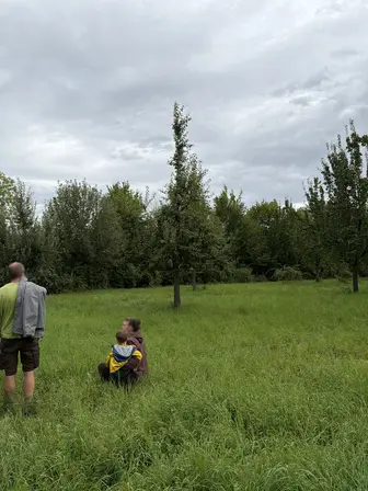 Foto treephoto-mk3vb7qcaqylvdar2zgh45r1.jpeg