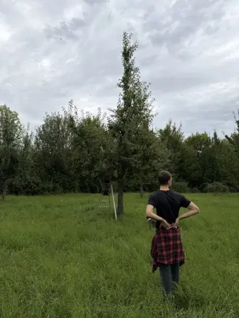 Foto treephoto-nkpr0xss6uu9wtzuku83f5en.jpeg