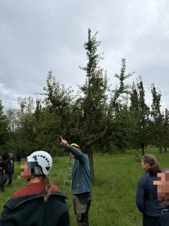 Foto treephoto-svcet5rj0toh8aid2tmuld3s.jpeg