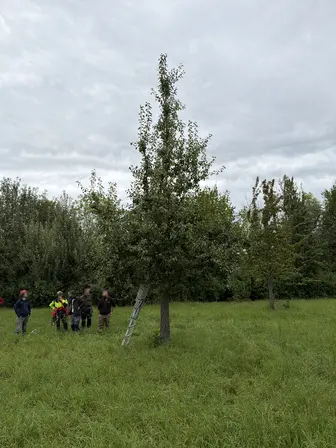 Foto treephoto-ve9c224bh73qfjqm3itgkzhq.jpeg