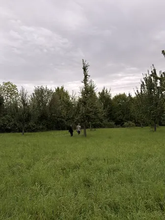 Foto treephoto-xjmitfygfhx9fjr6pb6nfu9z.jpeg