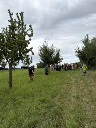 Foto treephoto-n7eqyb1gmi8r205uq5svek8o.jpeg