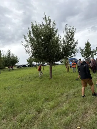 Foto treephoto-p42wqh23fa7pwpbhz9tjsduc.jpeg