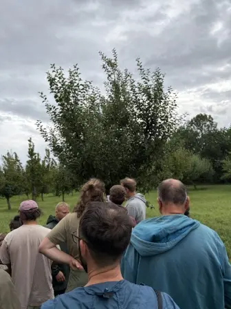 Foto treephoto-vkvtnatx305hxc11jk31mz3y.jpeg