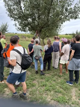 Foto treephoto-g24pv7a9r4mlncu9bny74tef.jpeg