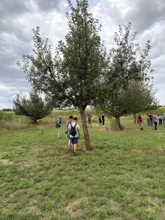 Foto treephoto-g4j6059b030dtxr773rg3z5i.jpeg