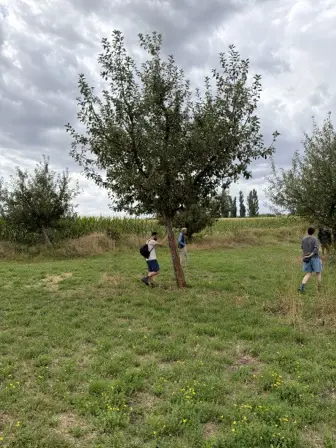 Foto treephoto-ih2kf8iwf1ifr7sbk5abak59.jpeg