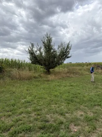Foto treephoto-m86wjd2ckgfl6hj4jpvcrcjp.jpeg