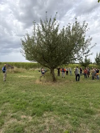 Foto treephoto-zrjj81ubpi28ulz3obicibvp.jpeg