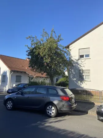 Foto treephoto-x3rl0557l2k9hj4zg1dkovzy.jpeg