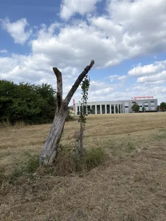 Foto treephoto-e04hl2t9wja05dpol2kxyewr.jpeg