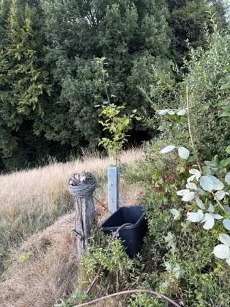 Foto treephoto-d0haorgvplrhso98b67exu2r.jpeg