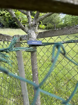 Foto treephoto-zpl3wfw5oam2xw0lj354l1dt.jpeg