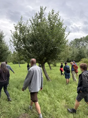 Foto treephoto-d8zvus79dy9ncmc3582wm5zc.jpeg