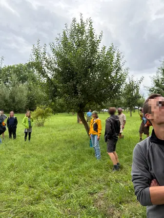 Foto treephoto-rtx33e4lo2k6zldi1cz48mpc.jpeg