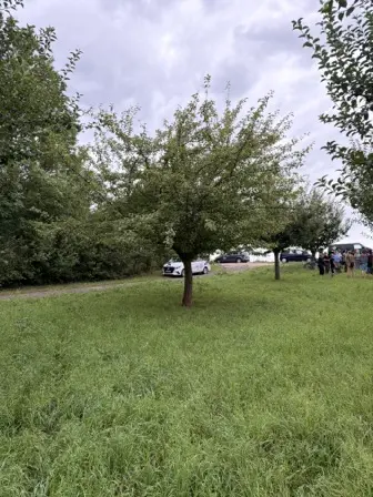 Foto treephoto-rdqj694hzqv00sobfbi8ekd7.jpeg