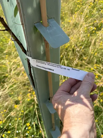 Foto treephoto-igkzpz03bpbb0pbtvger32ps.jpeg
