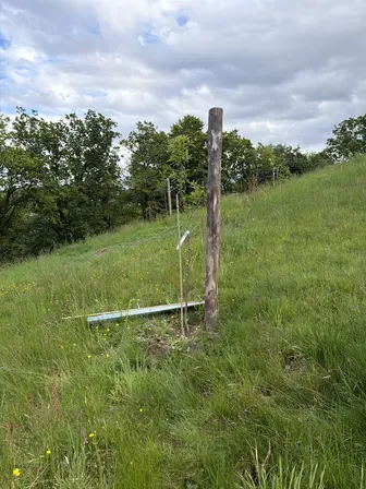 Foto treephoto-ls9pir59x2rq8qoatf5ulkje.jpeg