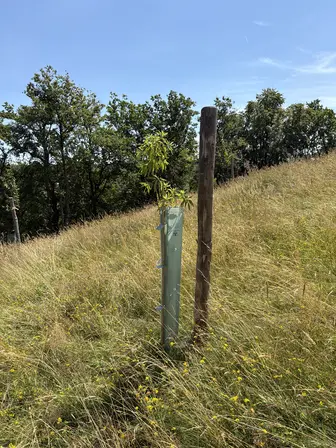 Foto treephoto-r0058h3gtpv1k1xyheohbl8s.jpeg