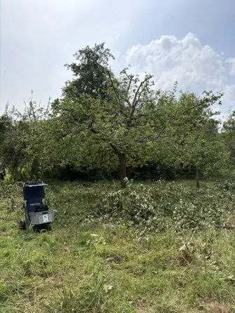 Foto treephoto-t1extsvxiythp1rjm4muq0gq.jpeg