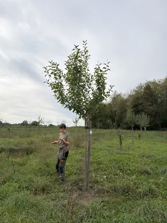 Foto treephoto-axjf3jlireh90v74nzzb6wfw.jpeg