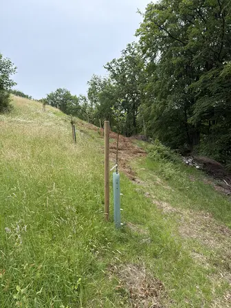 Foto treephoto-ux06atx1utvgmdjop338hj99.jpeg