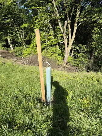 Foto treephoto-wfgctcq7frgc1zdqb98ufrxr.jpeg
