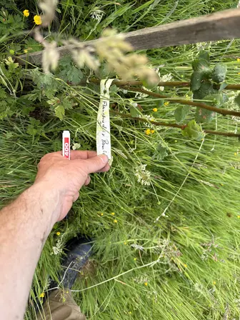 Foto treephoto-z6ralacc4l8f08kqcqyjaojb.jpeg
