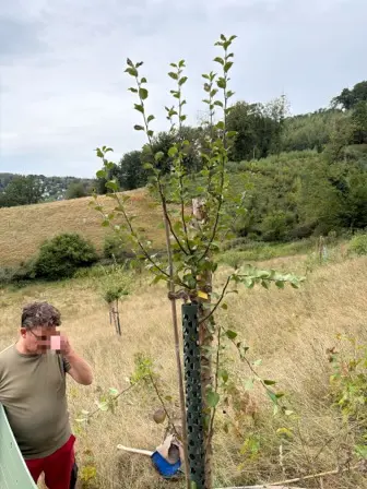 Foto treephoto-f825c1pj1lnlzyuewqx9j58n.jpeg