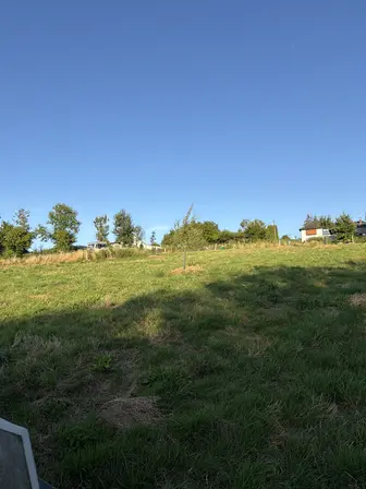 Foto treephoto-jszwx82plcm2npplxwr2k85h.jpeg