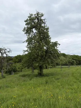 Foto kcgp55vi4e2169pxioagjs2w.jpeg