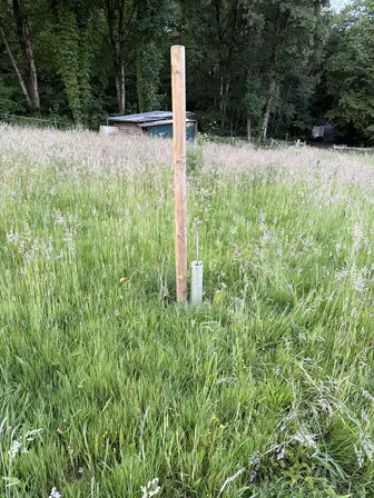Foto treephoto-rknp5r9n2v1oceq11e164gzk.jpeg
