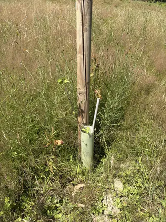 Foto treephoto-tw5uy23exjfa59h691inwqr1.jpeg
