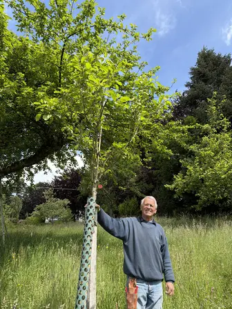 Foto treephoto-ezp3she39n7bgnwxnazramf9.jpeg