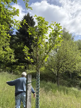 Foto treephoto-gq96sm6yaves5jrfypqj3xto.jpeg
