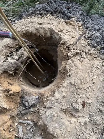 Foto treephoto-qxfqbu3qi66w83eb4etd3pij.jpeg