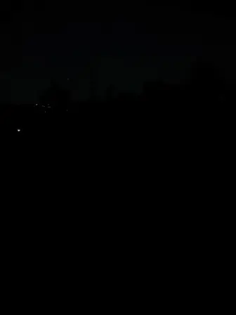 Foto treephoto-cg2se8wstvvnmva62nutuif1.jpeg